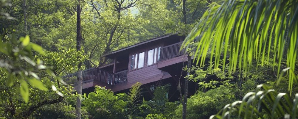 the tamara coorg
