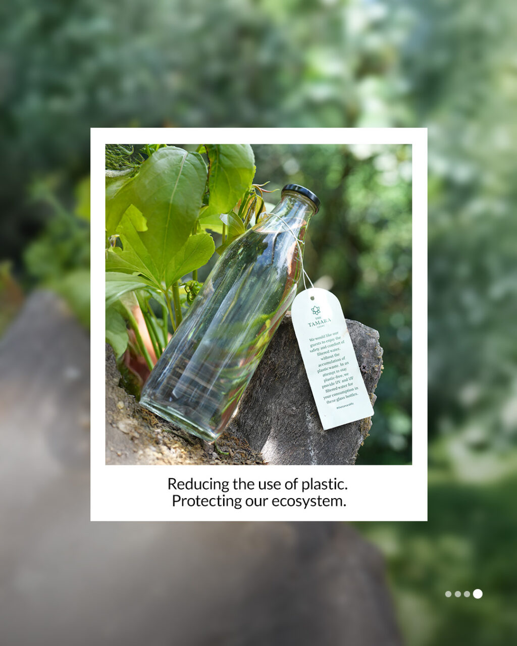 Instagram post from tamaraleisureexperiences. This post is in position 3.