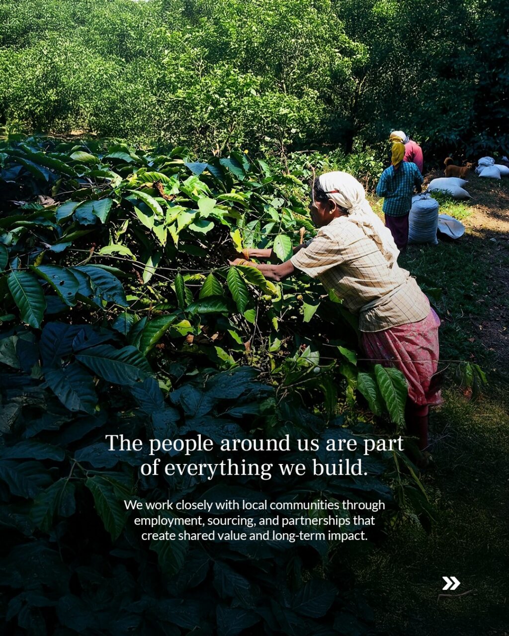 Instagram post from tamaraleisureexperiences. This post is in position 1.