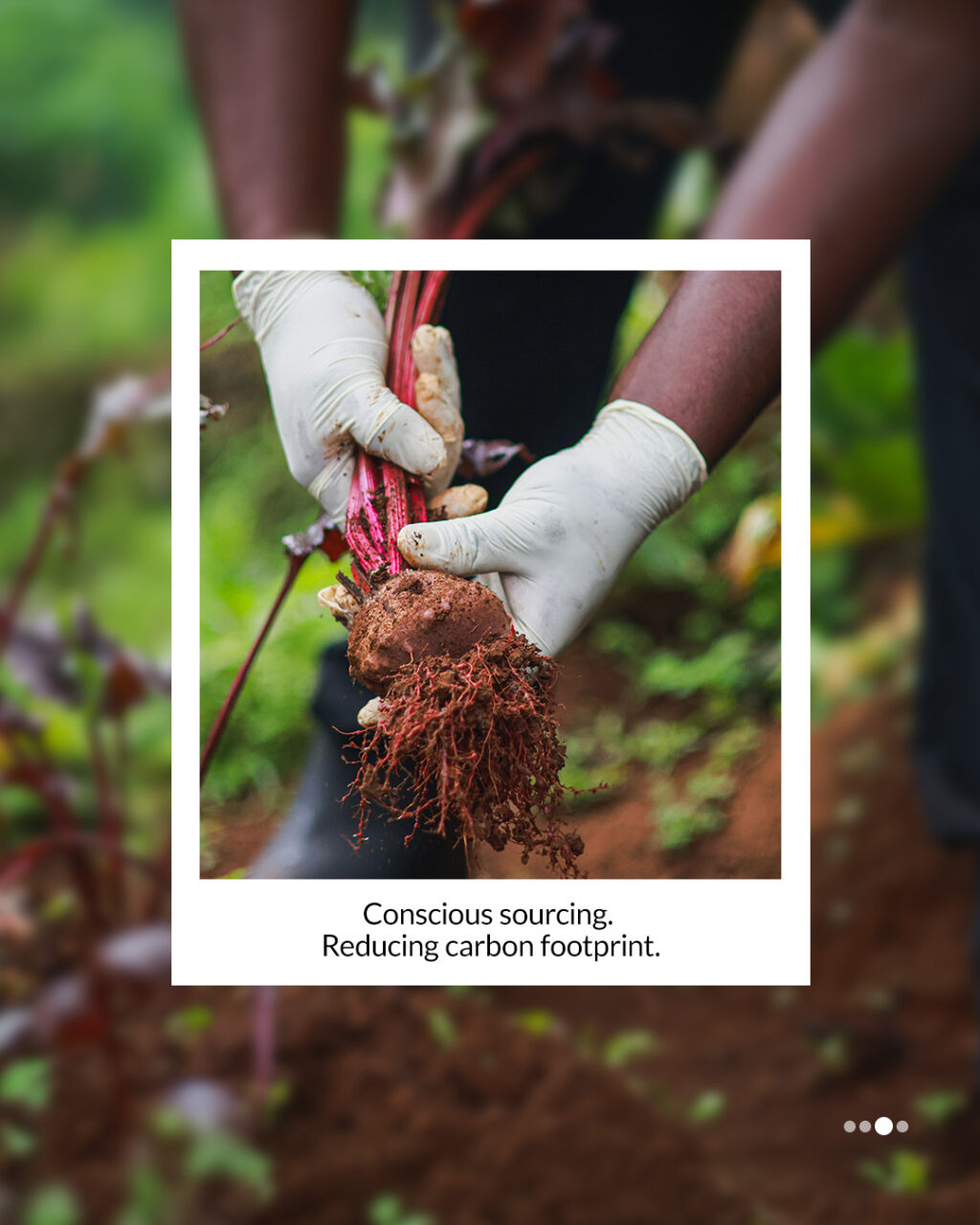 Instagram post from tamaraleisureexperiences. This post is in position 2.