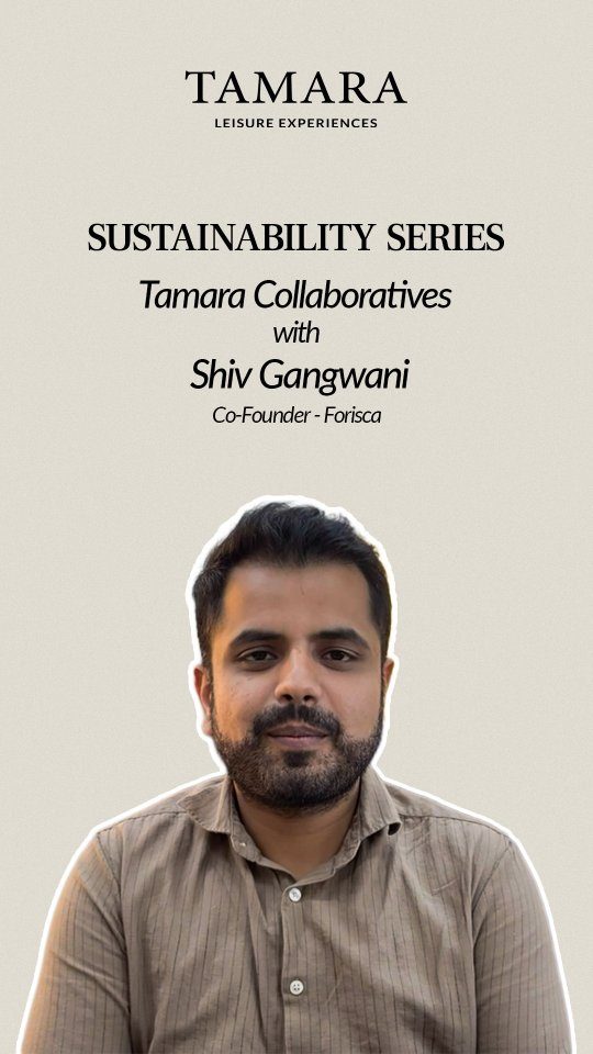 Instagram post from tamaraleisureexperiences. This post is in position 3.