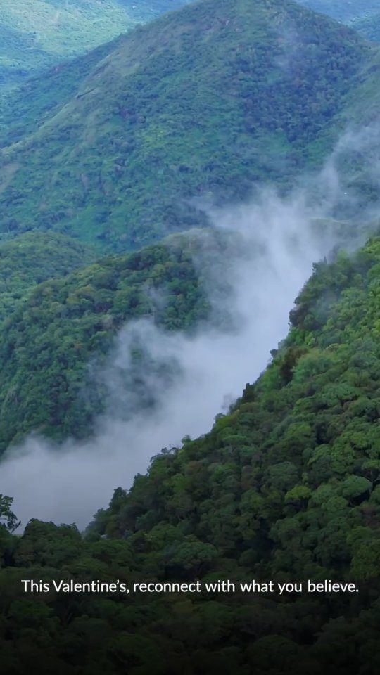 Instagram post from tamaraleisureexperiences. This post is in position 1.